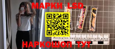 сатива Будённовск
