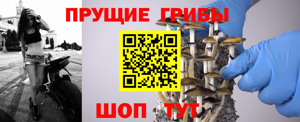 Галлюциногенные грибы MAGIC MUSHROOMS  закладка  Усолье-Сибирское  Вход с VPN 